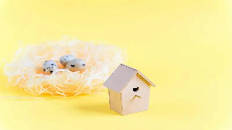 How to Turn Your Empty Nest into a New Opportunity